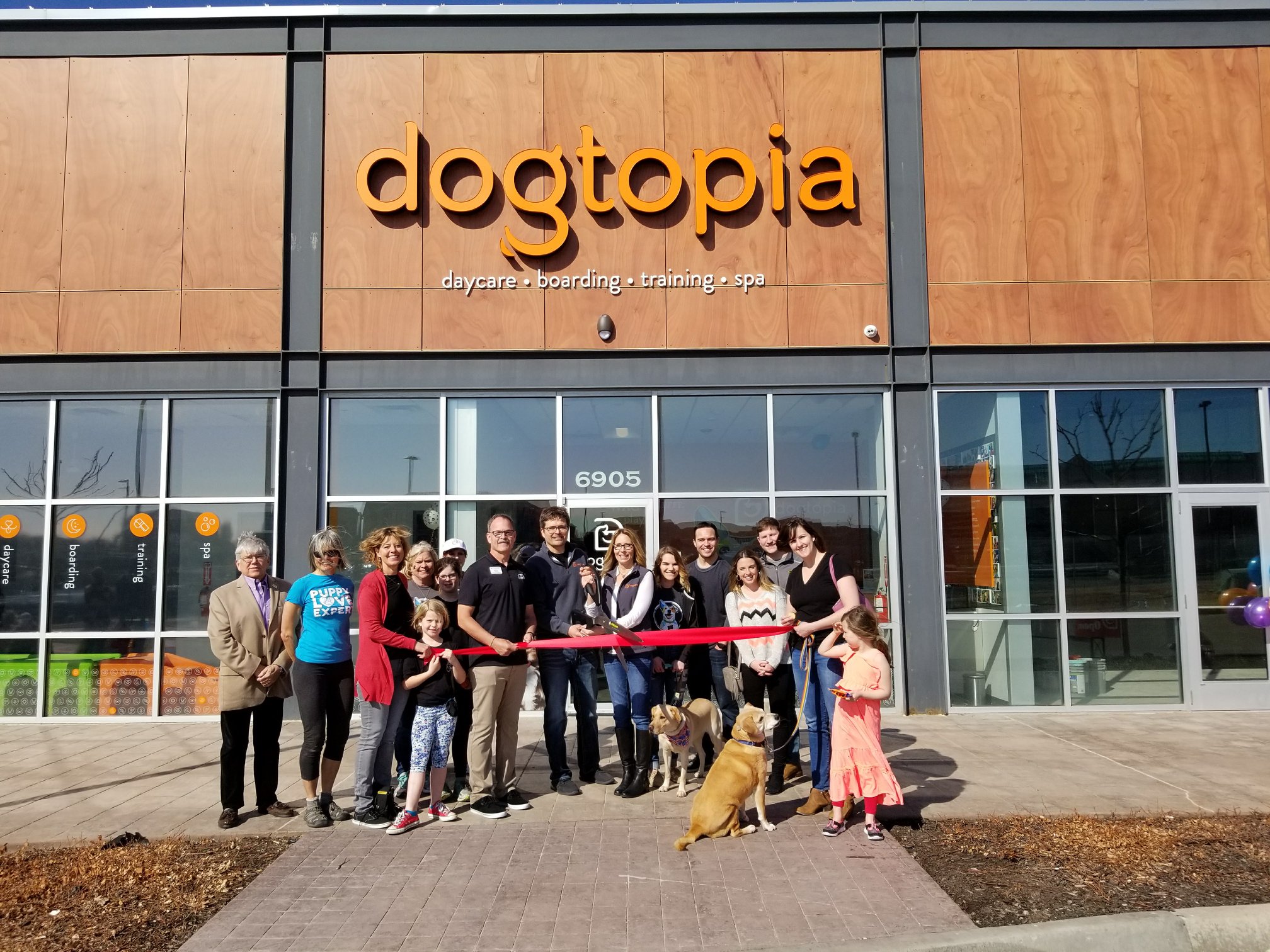 Dogtopia boarding hotsell